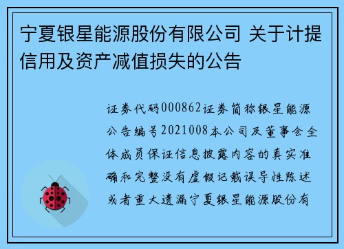 宁夏银星能源股份有限公司 关于计提信用及资产减值损失的公告