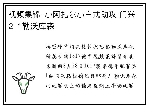 视频集锦-小阿扎尔小白式助攻 门兴2-1勒沃库森