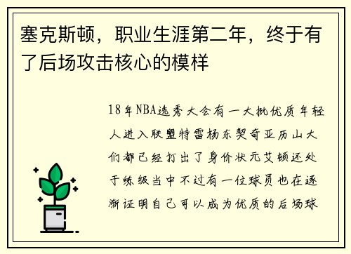 塞克斯顿，职业生涯第二年，终于有了后场攻击核心的模样