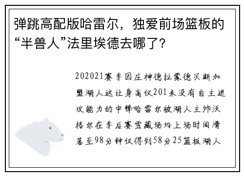 弹跳高配版哈雷尔，独爱前场篮板的“半兽人”法里埃德去哪了？