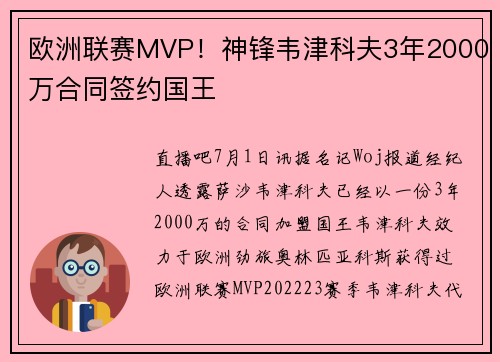欧洲联赛MVP！神锋韦津科夫3年2000万合同签约国王
